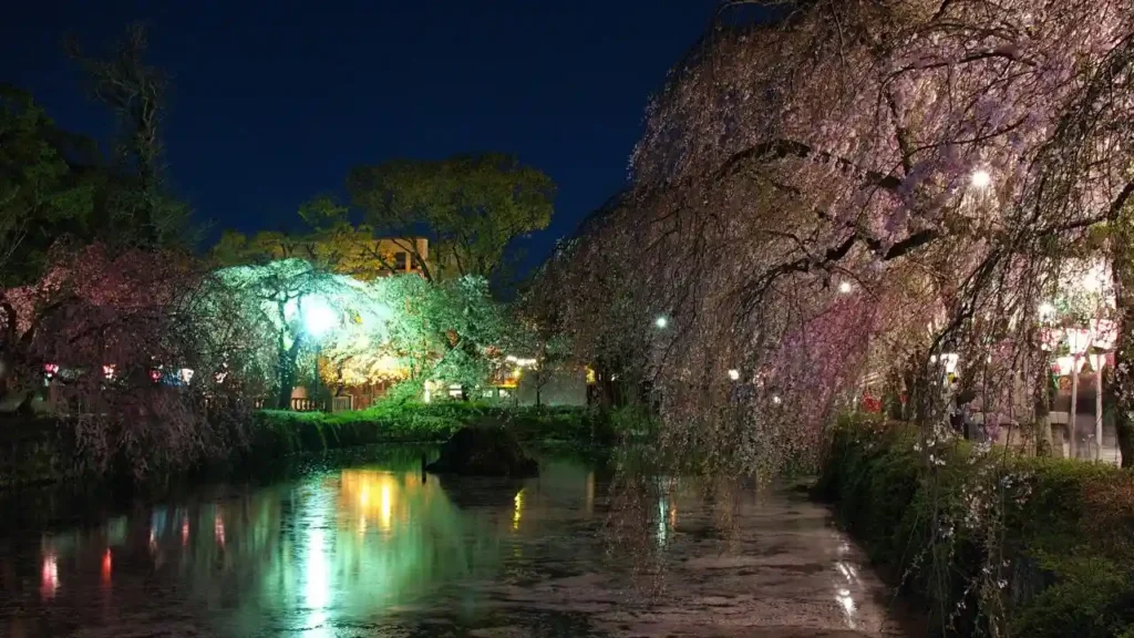 Best Places to Experience Yozakura, Photo by Travelie